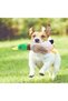 Plush Dog Toy with Sound Duck Shape