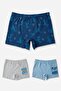Boy's Cotton Printed Comfortable Cut Lycra Boxer 3 Pack 3360 Colors