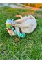 Natural Cotton Rope Set - Puppy and Small Breed Dog Toy - 6