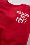 Baby Boy Crew Neck Printed Soft Furry Inside Sweatshirt D0707A524Wn - 2