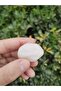 Crystal Quartz Tumbled Natural Stone Tambourine - 2