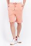 Men Regular Fit Plain Basic Shorts, Coral