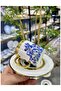 Lanthe Set of 6 Retro Luxury Porcelain Cups - 2