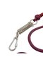 Handmade-Anti-Shock Spring, Dog Training and Walking Leash. Anti-Shock Dog Leash - 3
