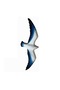 31cm Seagull Bird 1 Piece Silicone Mold K-1005, Stone Powder Soap Polyester Resin Plaster Candle Mold - 6
