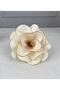 Latex Eva Flower Cream