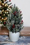 Snow Patterned Christmas Pine Tree 42 cm - 2