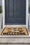 Digital Printed Non-Slip Base Washable Welcome Written Cat Door Mat (40X60Cm) - 4