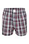 Boxer Classics - 2