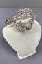 Silver Leyn Bridal Crown and Round Jewelled Earring Set - 4