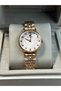 Brand 24 Months Warranty Quality Gift Women's Wristwatch