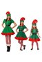 Adult Women's Elf Costume
