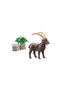 - Capra Ibex - 3