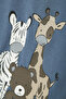 Baby Boy Fabric - OCO95/EA5 Knit - 2