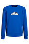 Mountain Kids Sweatshirt - Chest Printed, Crew Neck - 4