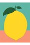 Efe Collection Pastel Tones Lemon Patterned Woven Base Modern Decorative Carpet 04 - 4