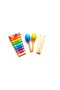 Maracas & Xylophone and Rhythm Stick Set of 3 - 2