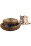Composable Cat Playground