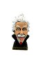 Einstein Biblo - 4