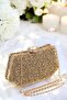 Evening Bag with Pearls 025