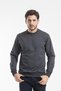 Men's Crew Neck Regular Fit Thin Sweatshirt Spr 20k30 - 3