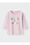 Nbftays Ls Top Box