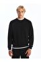 Lcw Casual Crew Neck Embroidered Long Sleeve Men's Thick Sweatshirt