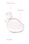 Anti-Acne and Blackhead Purifying Salicylic Acid Tonic 200 ml - 3