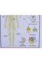 Lymph Circulation Board - 3