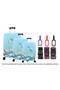 Plane Set of 3 Luggage Cover, 3 Luggage Belt, 3 Luggage Label