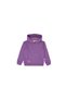 Hoodie Unisex Kids Purple Sweatshirt Unisex Children Sweatshirt Hrbtxt321-Mr - 2