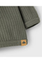- أعلى -خنفساء - 3