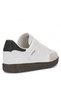 Unisex Women Men's Sneakers Seasonal Flat Sole 4 Seasons Sneakers Sports Shoes - 3