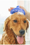 1 Piece Mixed Color Silicone Adjustable Cat and Dog Grooming and Washing Brush with Massage Effect Corner Scratching Apparatus - 3