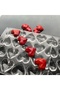 Polycarbonate Heart Praline Chocolate Mold 8.5 Gr. |   Cm-3826 - 2