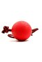 2 Pcs Holding Handles Biting Traction Hard Dog Play Training Ball Set - 2