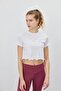 Women's Dolphin Printed Short Sleeve T-Shirt - 4
