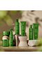 Be Curly Shampoo Without Sulfate for Shiny Curly Hair (250ml) - 6