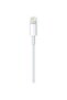 Usb-c - Lightning Kablosu (1 M) - Mm0a3zm/a - 2