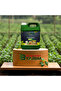 ACTİVE SIVI BİTKİ GÜBRESİ 5LT