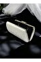 C-214 Dmc Mother of Pearl-Silver Drop Stone Evening Bag - 5