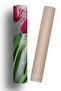 Refrigerator and Dishwasher Door Self-Adhesive Sticker Foil Tulip - 6