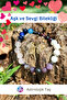 Love and Affection Bracelet - Natural Stone - Certified (Pink Quartz, Moonstone, Lal Stone)