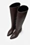 Herbert Brown Matte Pointed Toe Block Heel Women's Riding Boots - 5