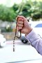 سبحة عين النمر الطبيعية الأصلية - 4