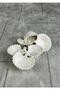 Set of 6 Porcelain Oyster Turkish Delight Bowl - Porcelain Jam Bowl, Sauce Bowl Set - 7 cm