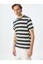 Short Sleeve Crew Neck Regular Fit Cotton Blended Stripe T-Shirt