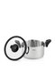 Stockpot With Glass Lid 2.5L, Stainless Steel with Drain Spouts 18x11cm - 2