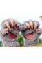 Gray Paw Gloves - 2