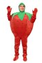 Strawberry Costume Adult